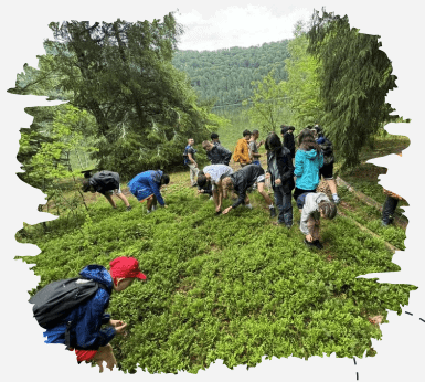 Excursii școlare - tabere